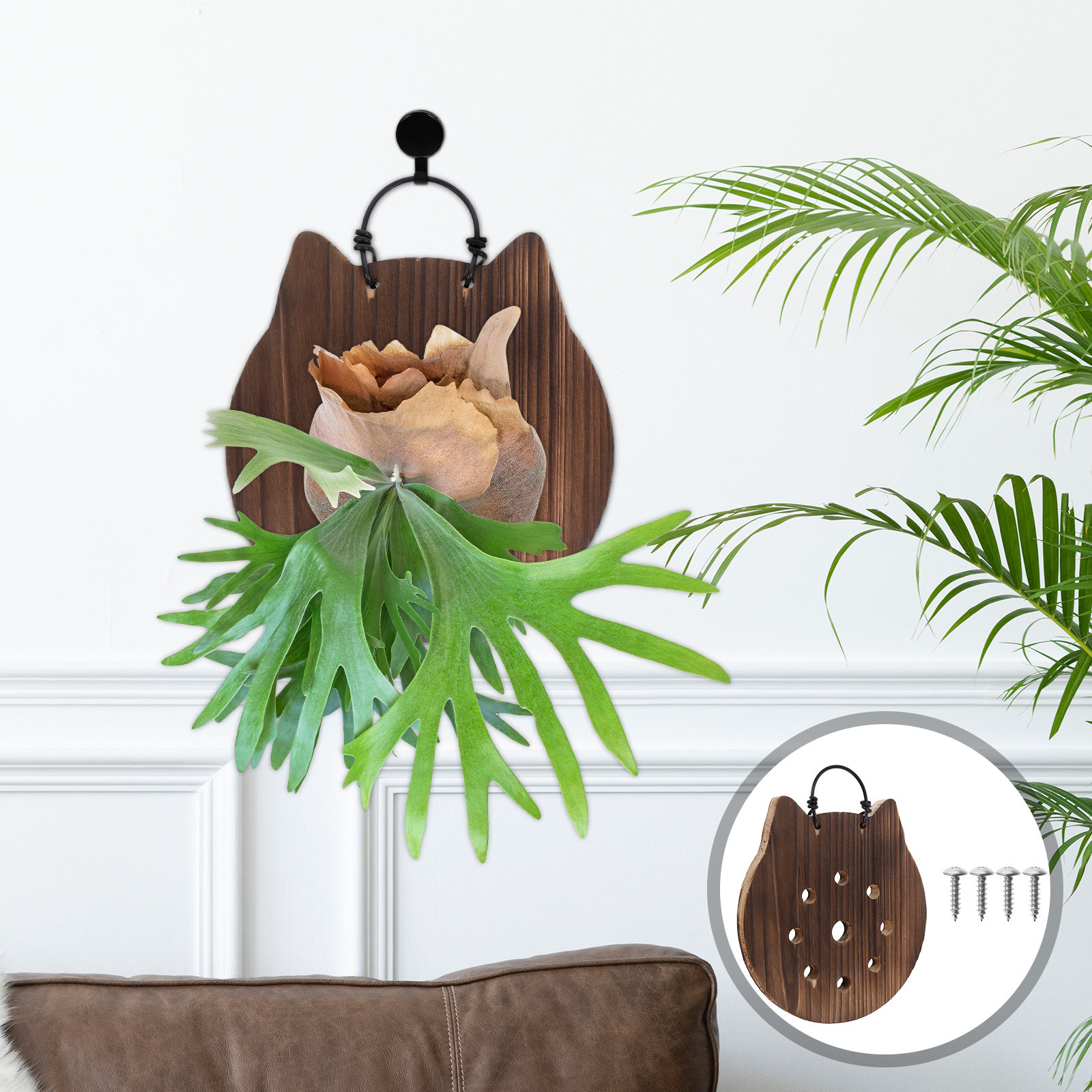 Cat Shape Fern Mounting Board  - Vertical Wall Planter review and price