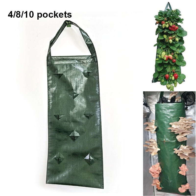 4 8 10 pockets wall hanging ve - Vertical Wall Planter review and price