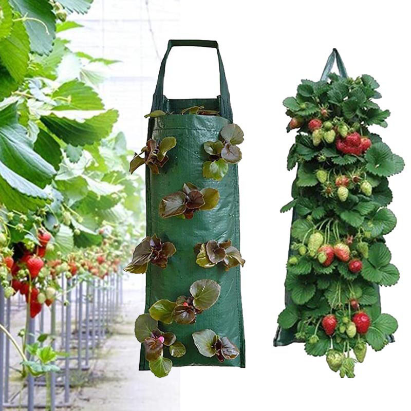 4 8 10 pockets wall hanging ve - Vertical Wall Planter review and price