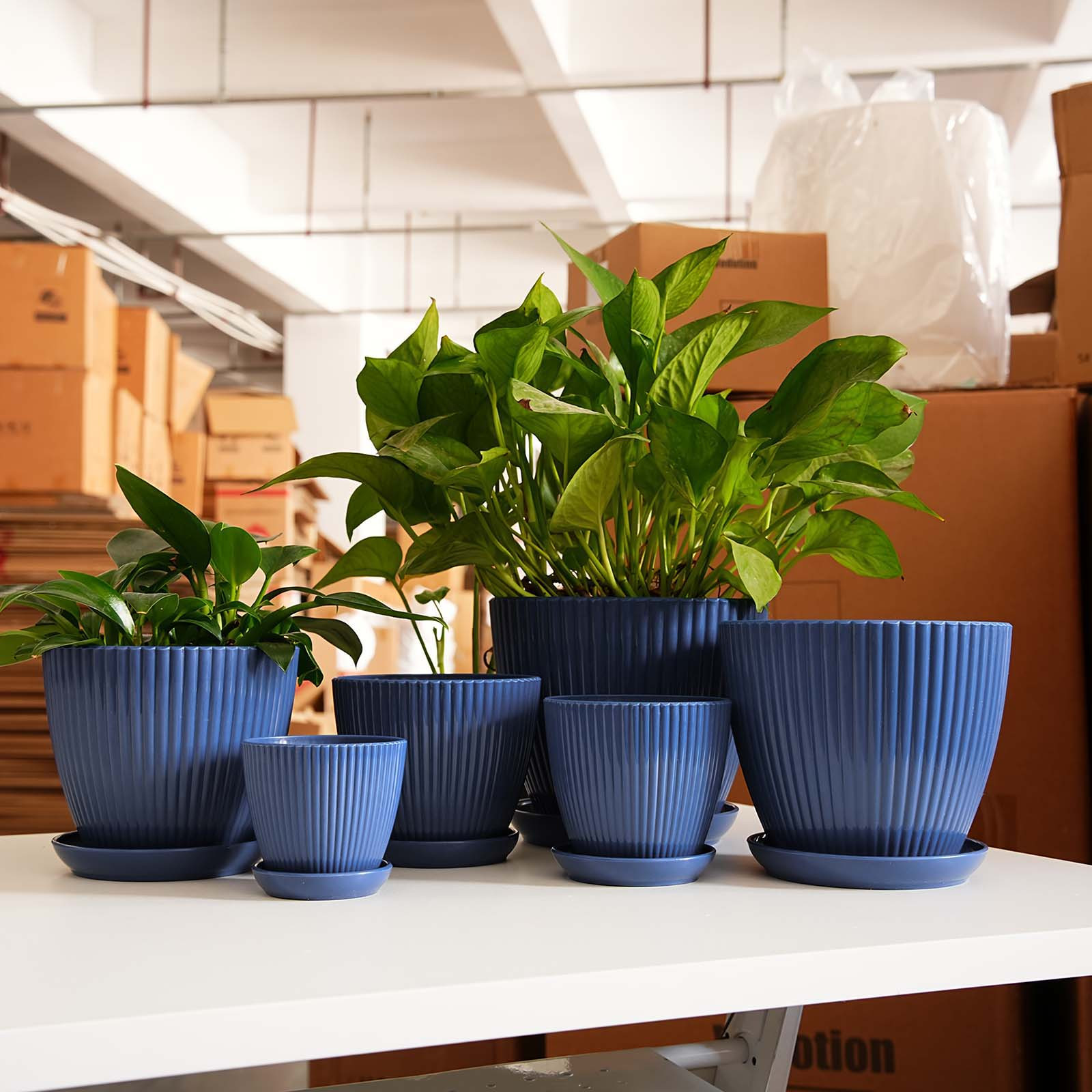 Vertical Striped Thickened Pla - Vertical Wall Planter review and price