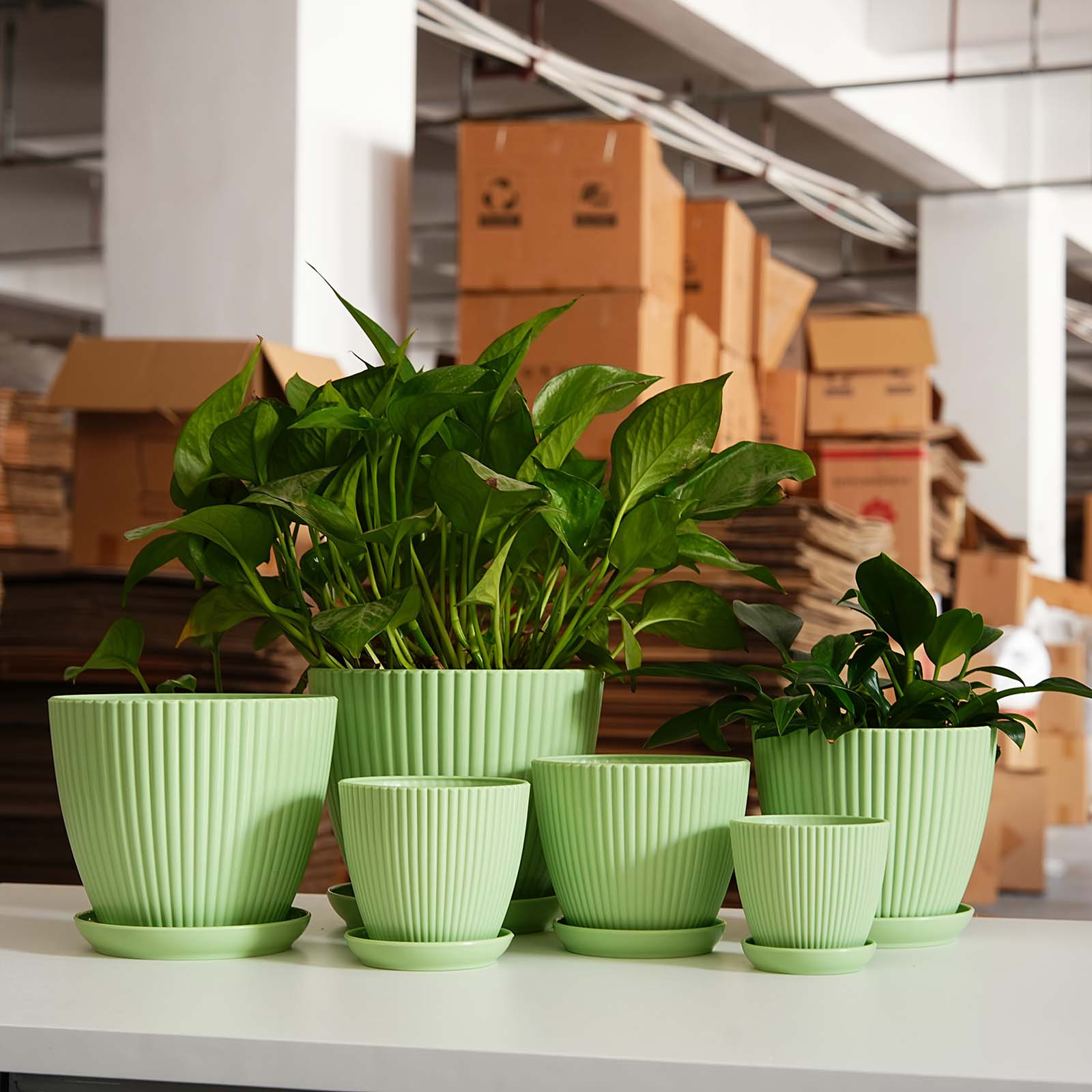 Vertical Striped Thickened Pla - Vertical Wall Planter review and price