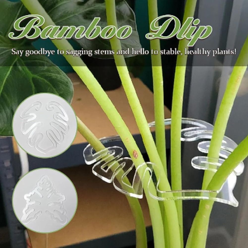 1/2PCS Reusable Turtle Shell B - Gardening Tools Range review and price