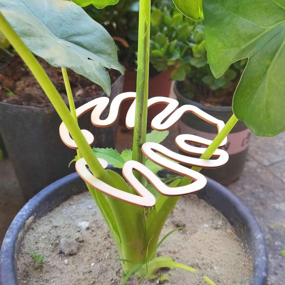 1/2PCS Reusable Turtle Shell B - Gardening Tools Range review and price