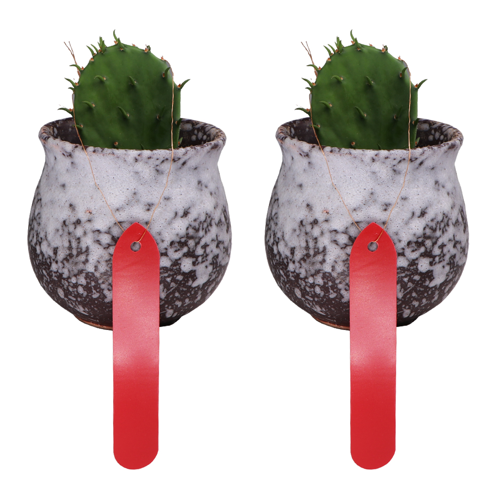 50PCS 1.8x10CM Plant Tags with - Garden Label Marker review and price