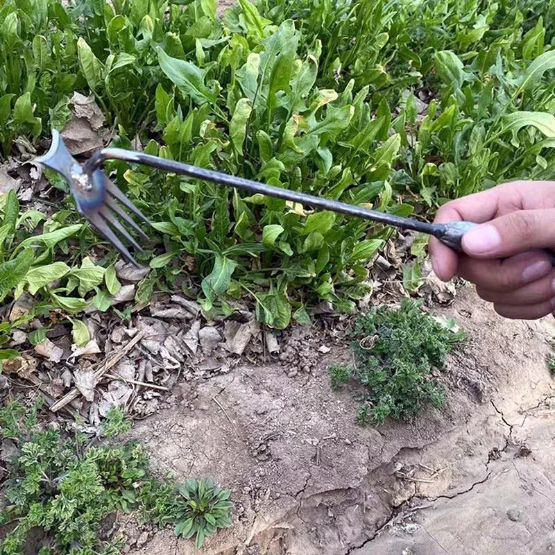 Garden Weeders Grass Hand Weed - Gardening Tools To Remove Weeds review and price
