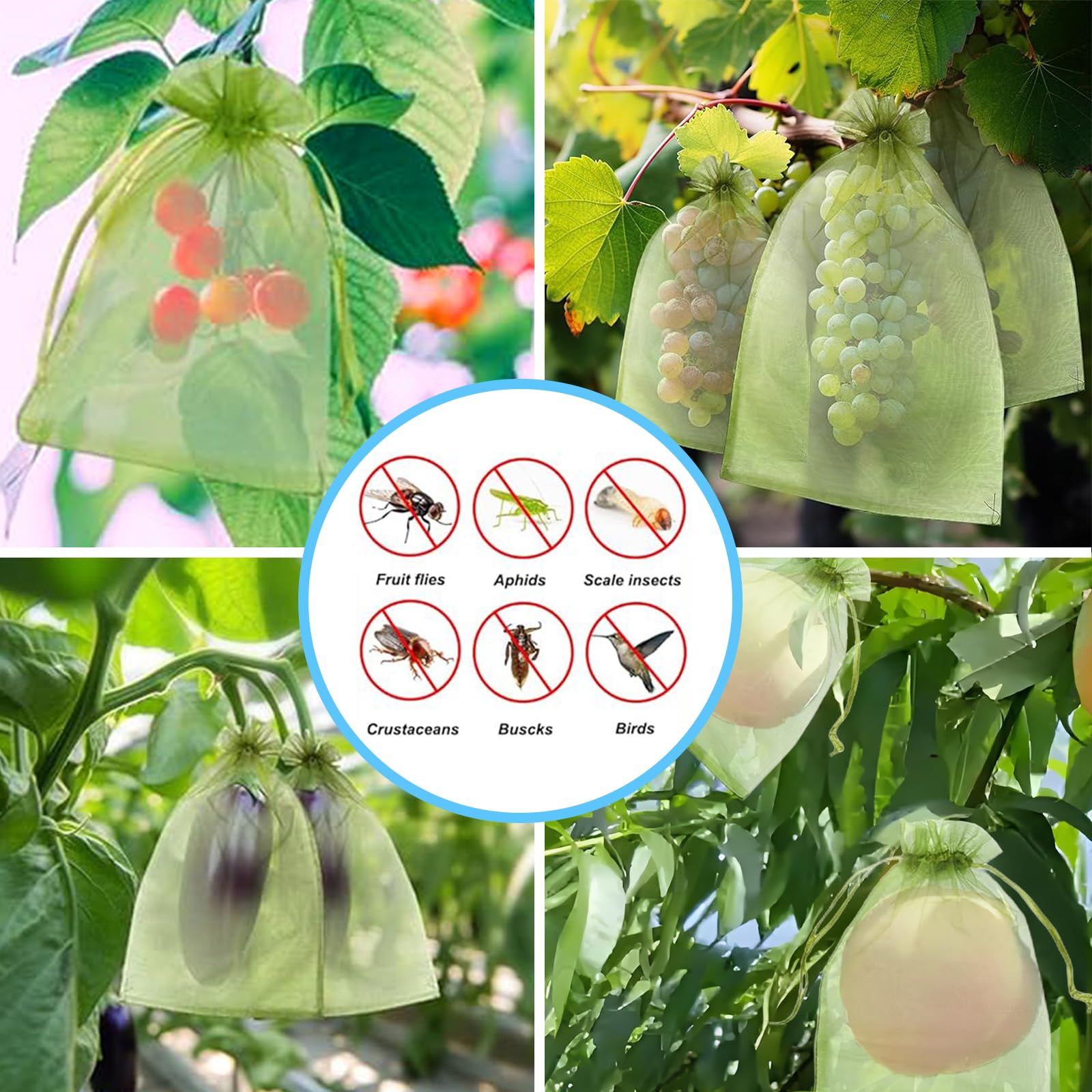 Effective Anti-Bird Netting Fr - Outdoor Planting Bag review and price