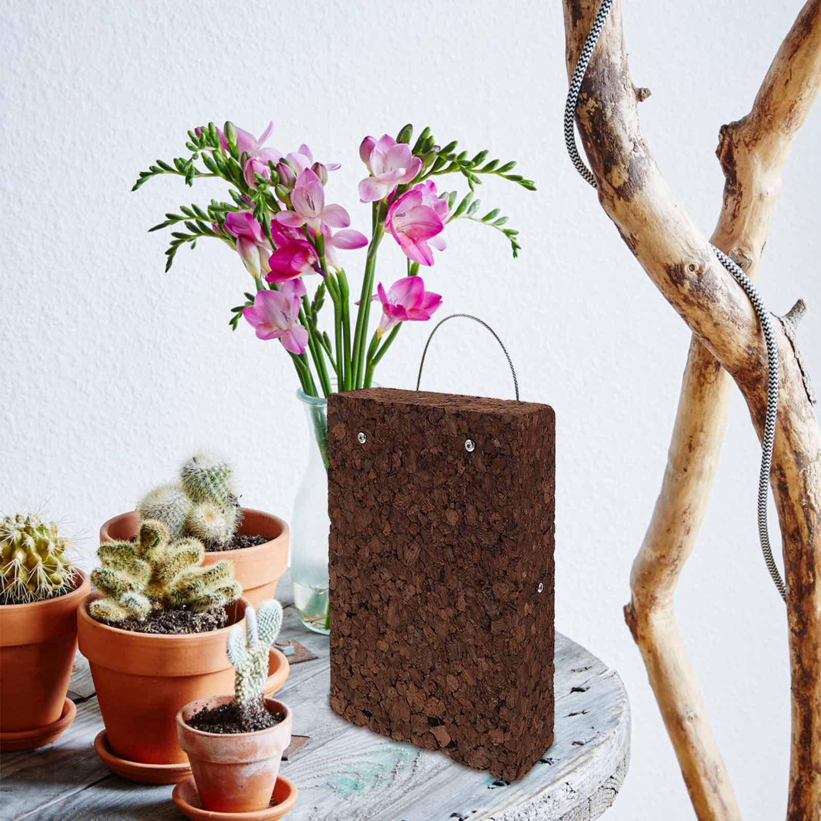 Rustic Fern Mounting Board Car - Vertical Wall Planter review and price