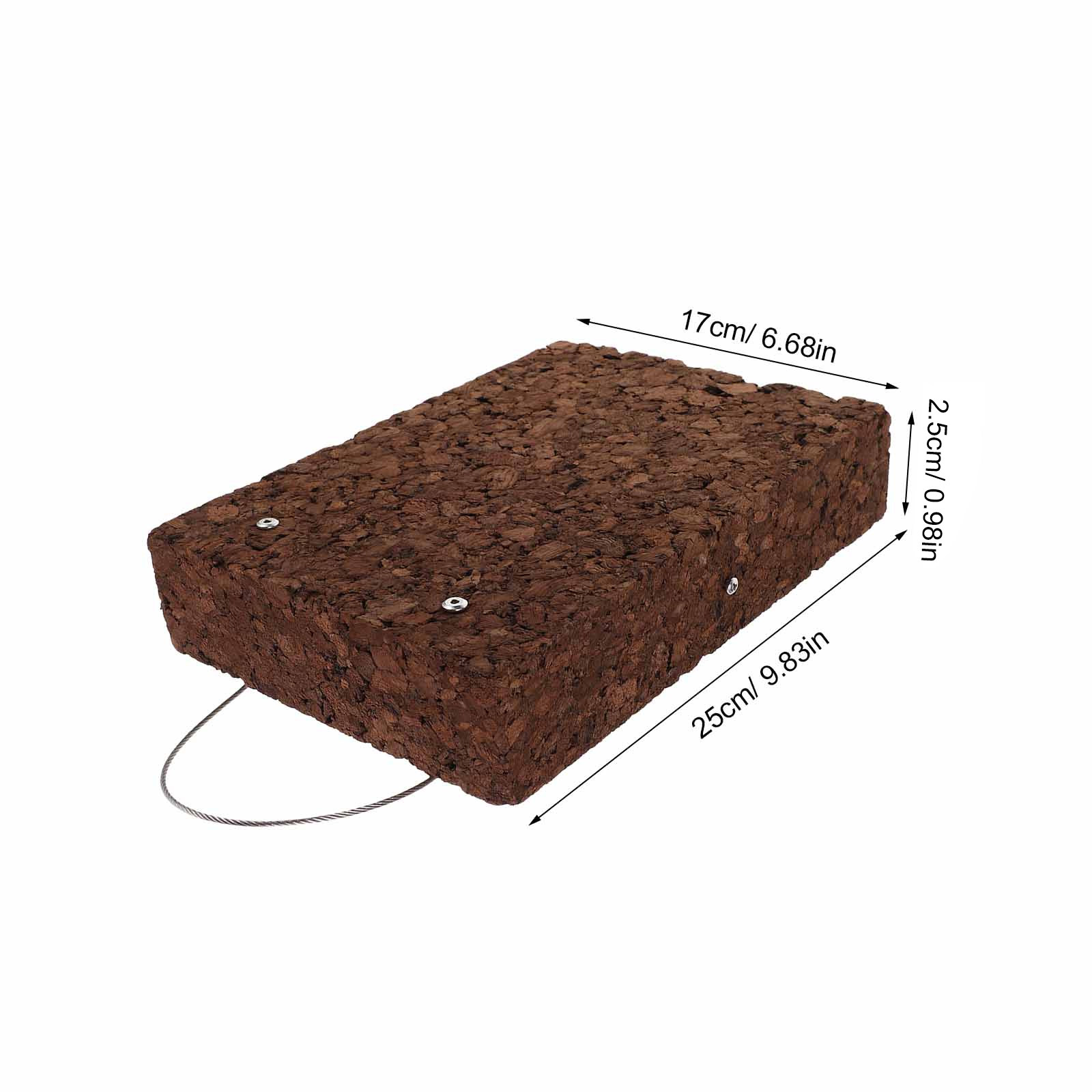 Rustic Fern Mounting Board Car - Vertical Wall Planter review and price