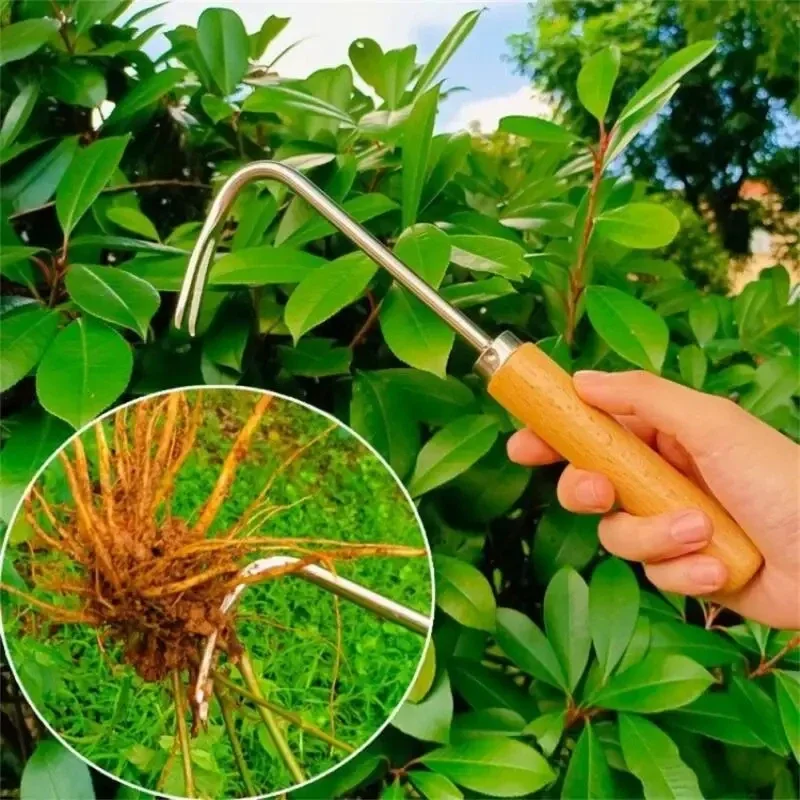 Stainless Steel Gardening Weed - Gardening Tools To Remove Weeds review and price