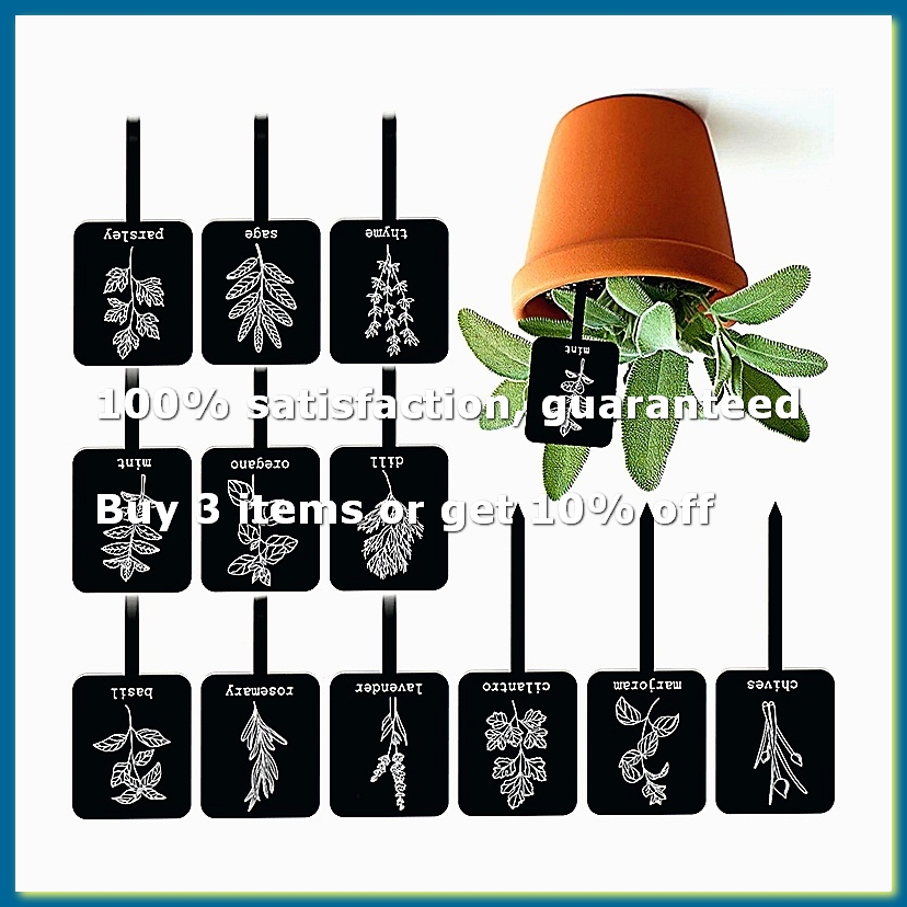 24Pcs Acrylic Plant Label Sign - Gardening Tools Names review and price
