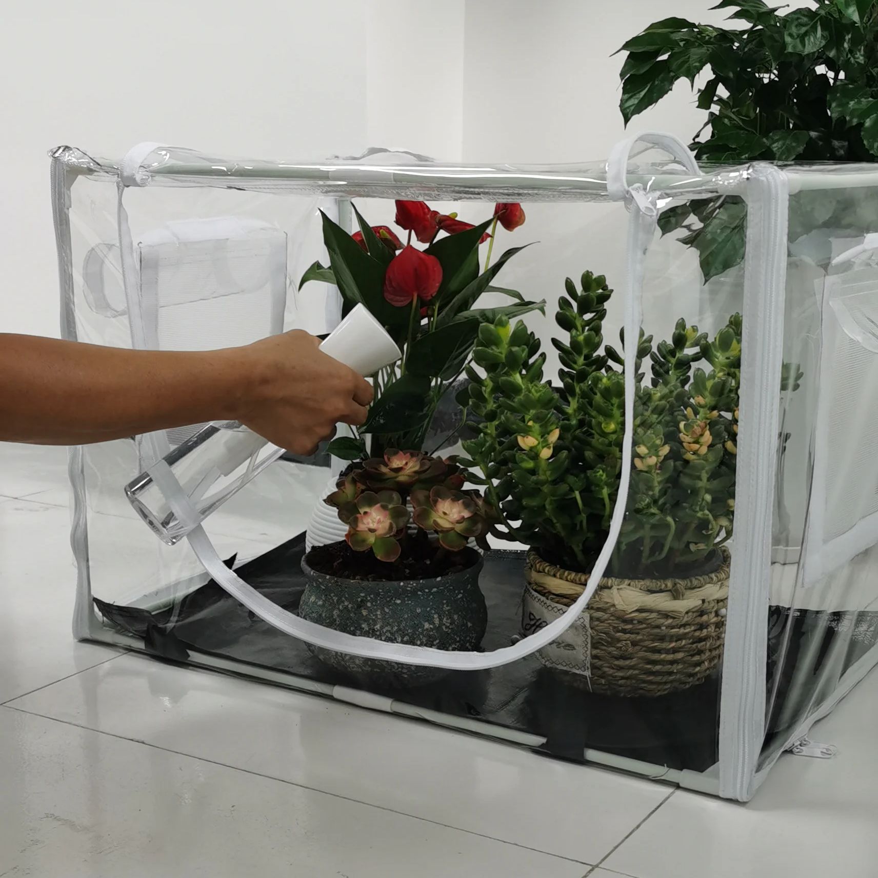 Compact Indoor/Outdoor Greenho - Outdoor Planting Bag review and price