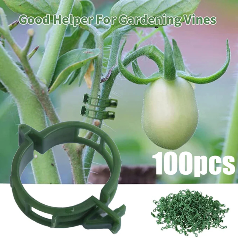 100 PCS/ Plant Support Clip Pl - Gardening Tools Range review and price