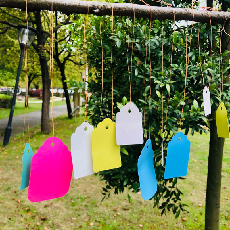 100pcs Plant Labels With Rope  - Garden Label Marker review and price