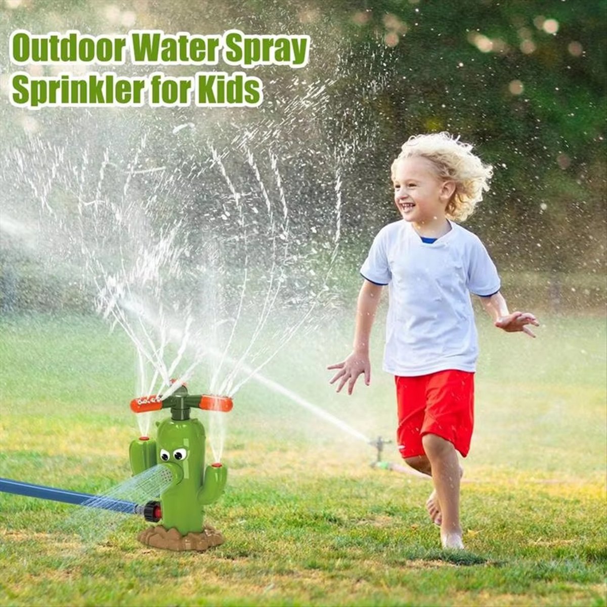 ABNH Cactus Cartoon Sprinkler  - Gardening Hand Tools B&Q review and price