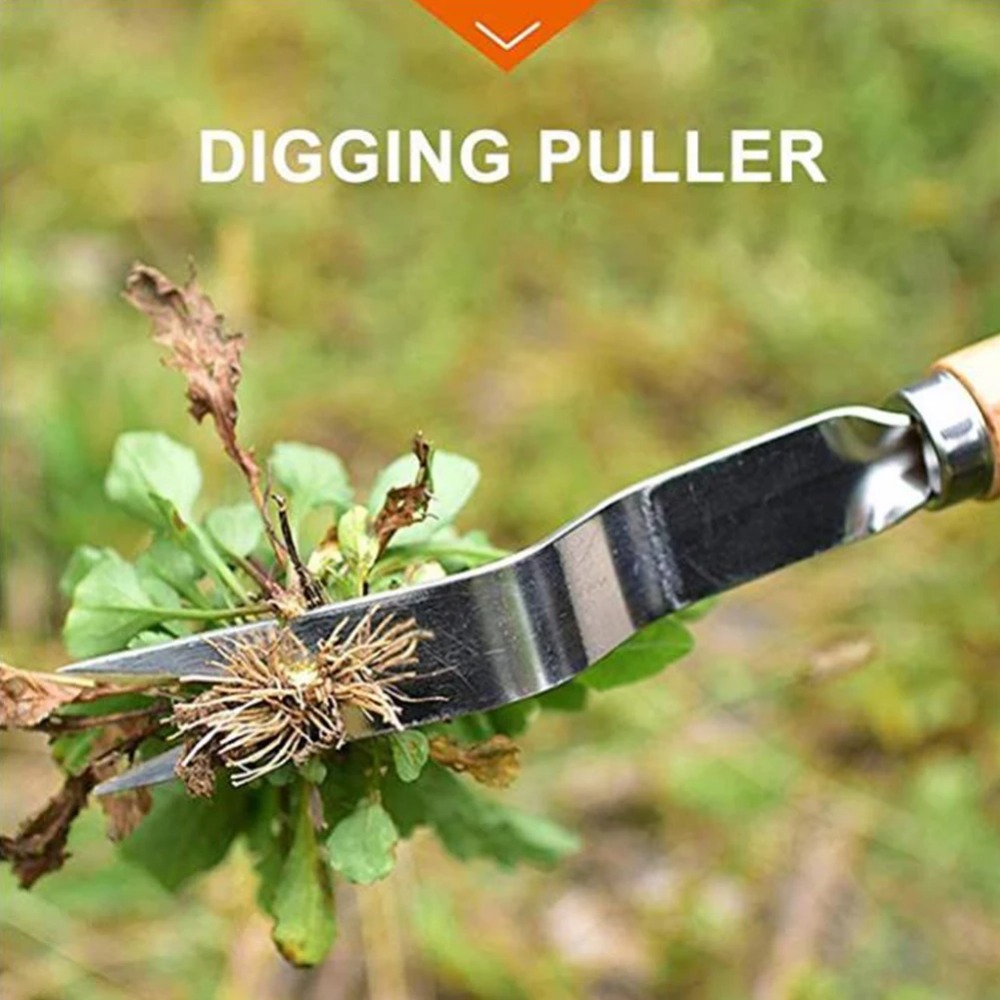 1pcs Wood Handle Stainless Ste - Gardening Tools To Remove Weeds review and price
