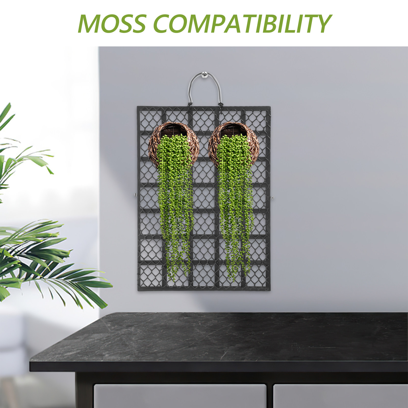Staghorn Fern Rustic Wall Moun - Vertical Wall Planter review and price
