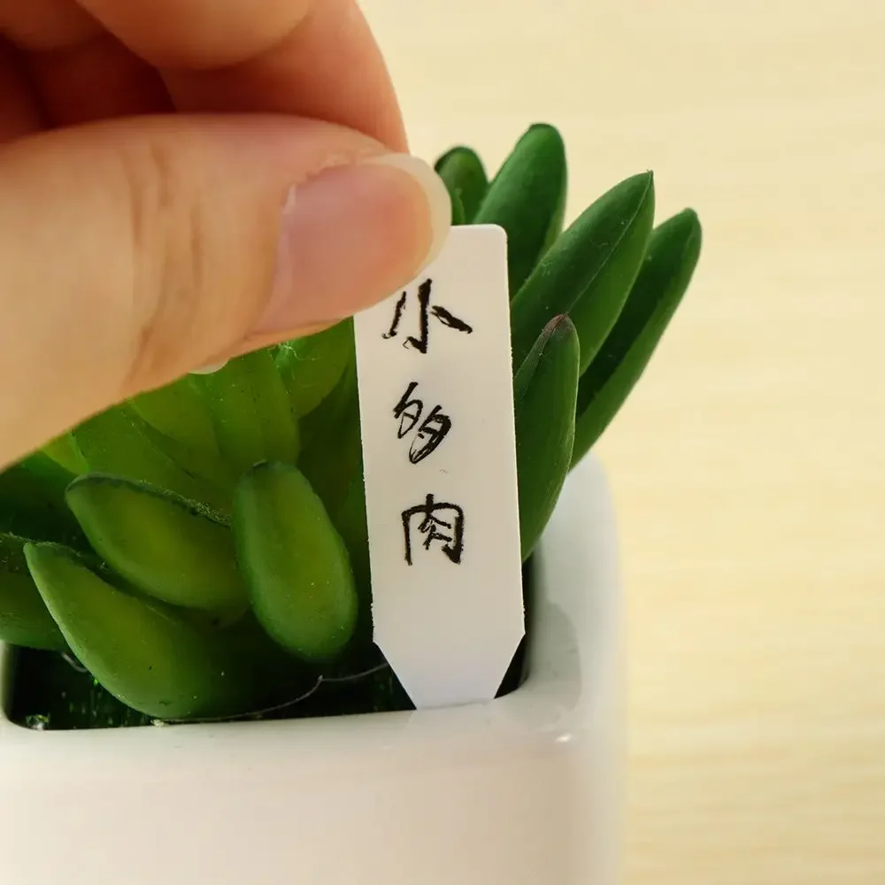 100Pcs Reusable Classification - Garden Label Marker review and price