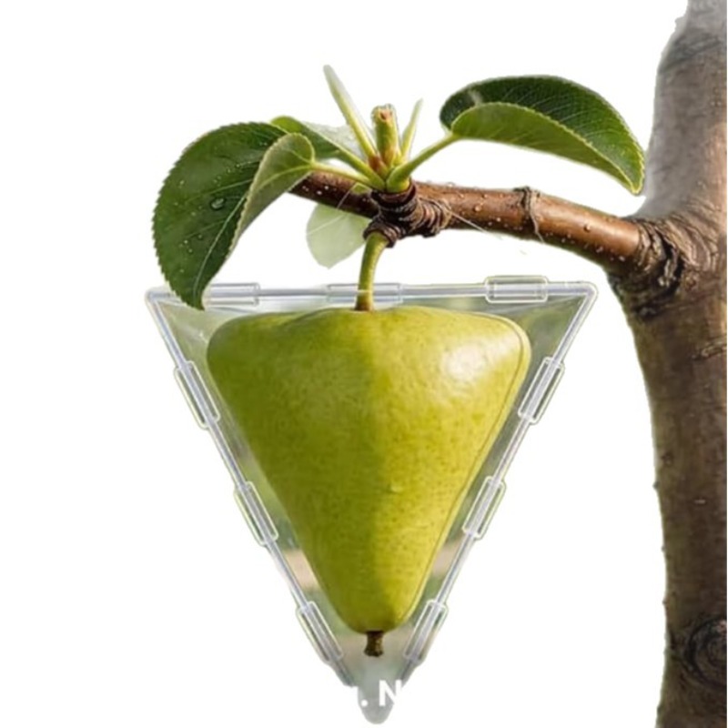Unique Fruit Shaping Growth Mo - Gardening Tools Unique review and price