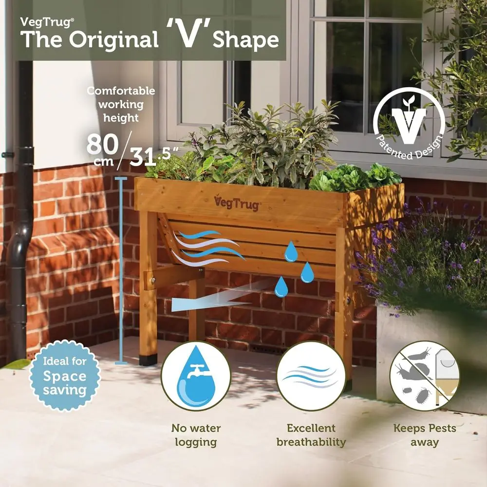 Natural Small 1m Wall-Mounted  - Vertical Wall Planter review and price