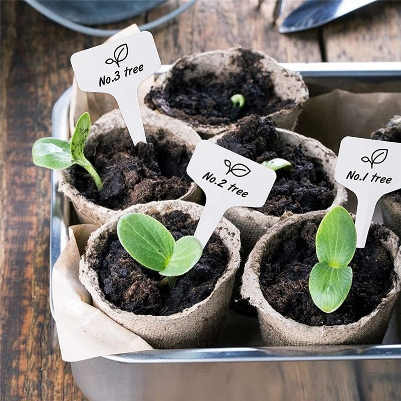 RANA Plant Labels 300Pcs 4 Inc - Gardening Tools Names review and price