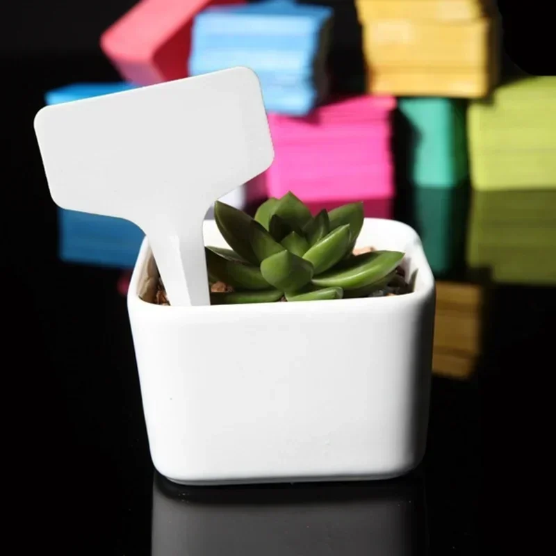 20 Pcs Plastic Waterproof Plan - Gardening Tools Names review and price