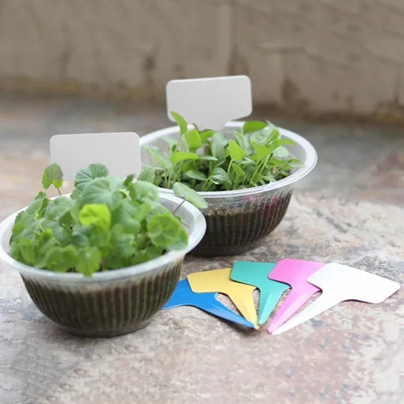20 Pcs Plastic Waterproof Plan - Gardening Tools Names review and price
