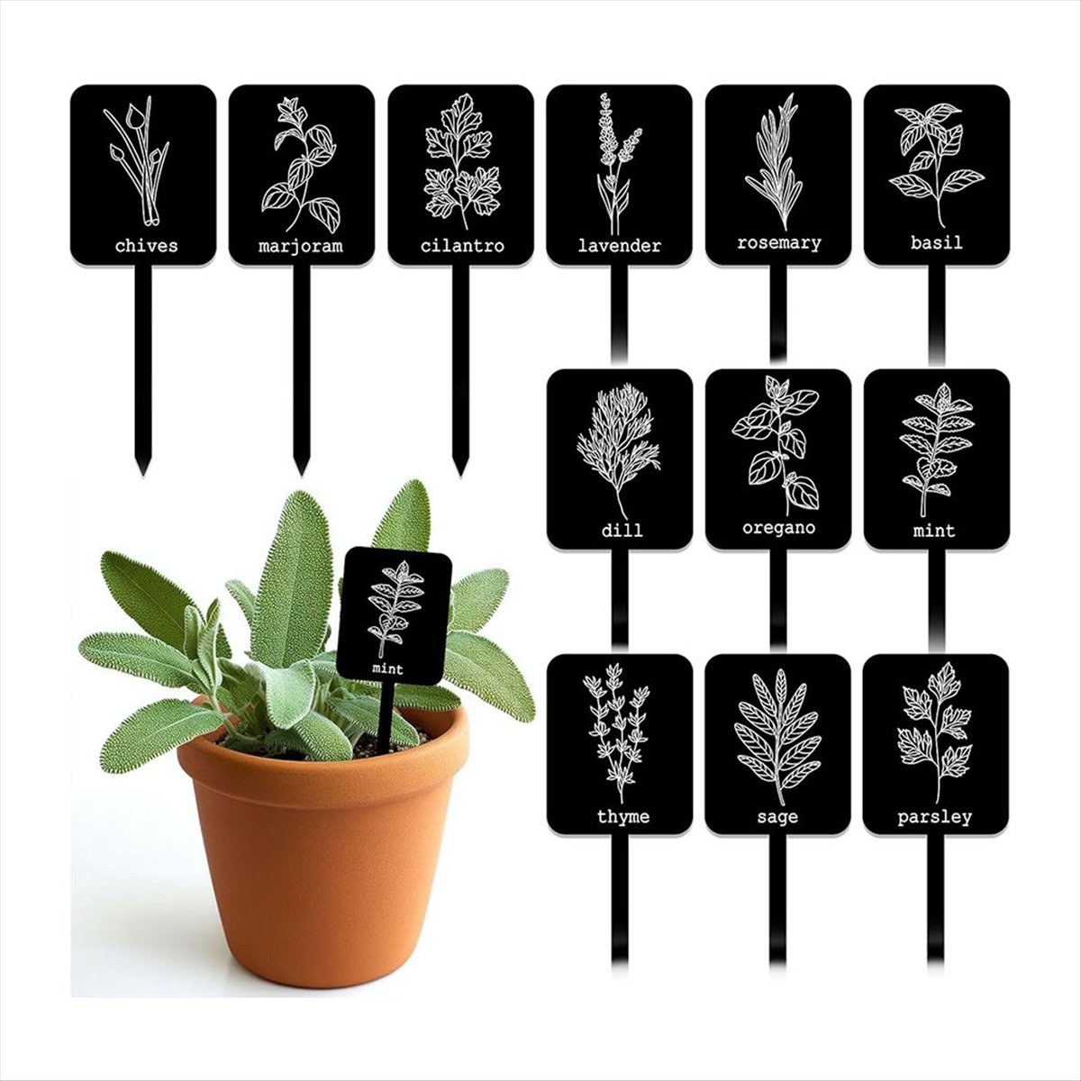 AA14 24Pcs Acrylic Plant Label - Gardening Tools Names review and price