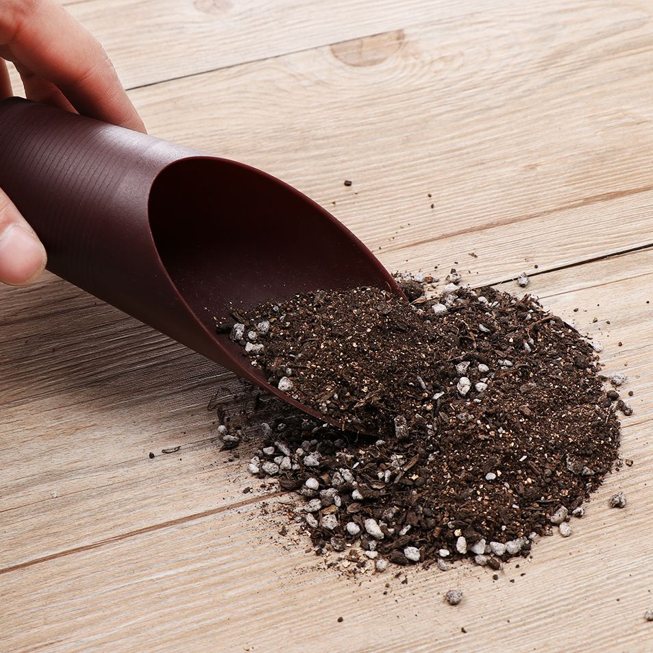 1PC Plastic Soil Shovel Cup Fo - Gardening Tools Brands review and price