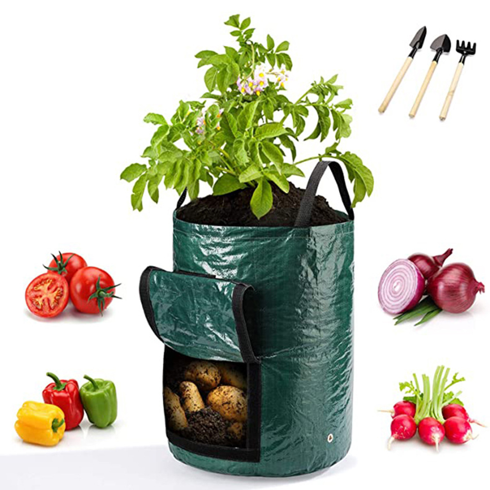 1pc 10-Gallon Grow Bags For Ve - Outdoor Planting Bag review and price